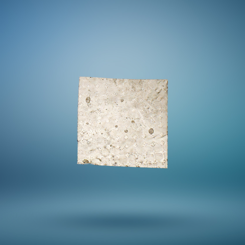 MantleDL-Product-Gradient